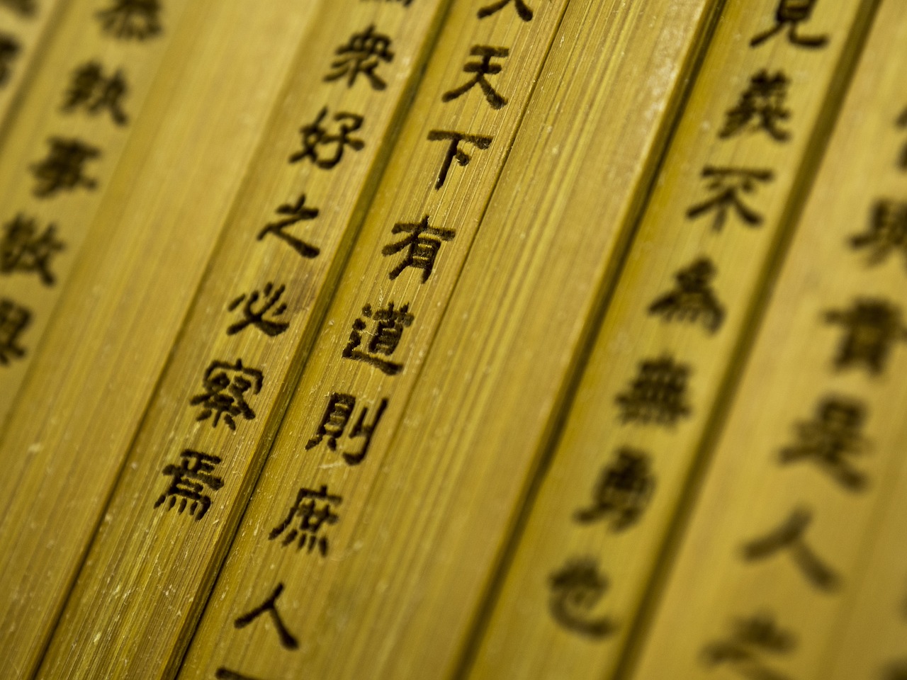 具体的な講座内容